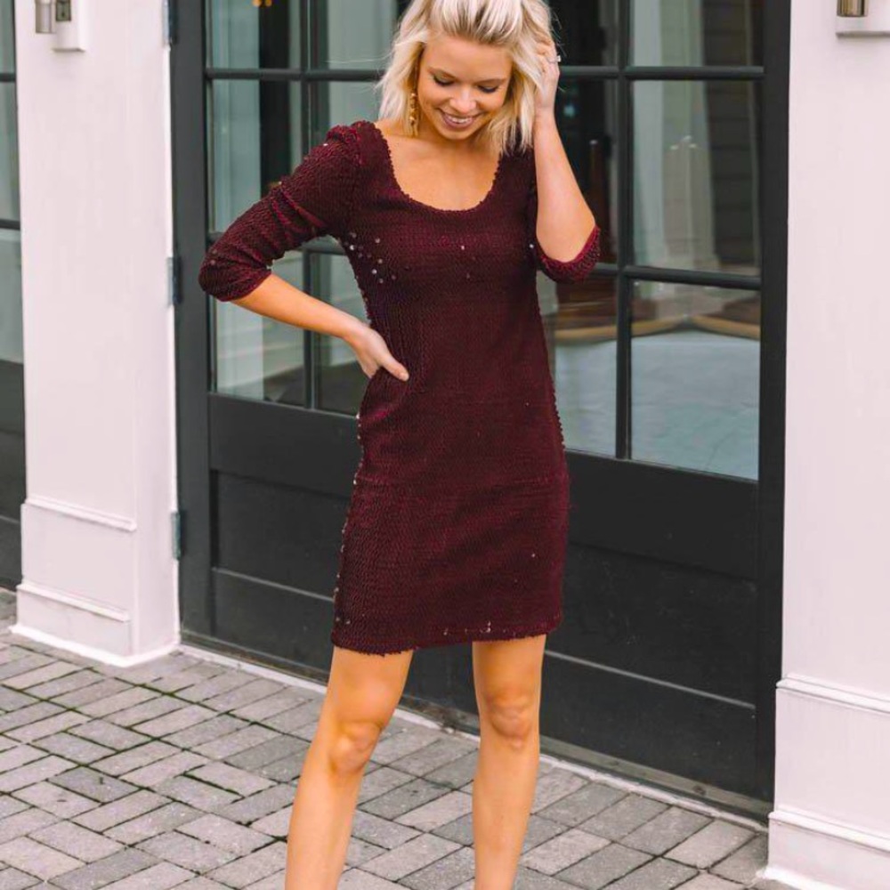 BB Dakota maroon velvet sequin dress